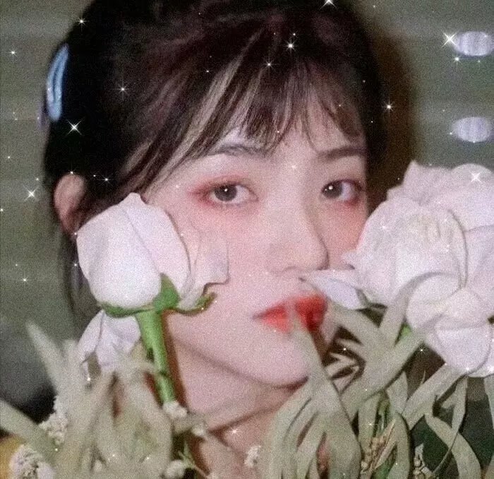 蝴蝶公墓